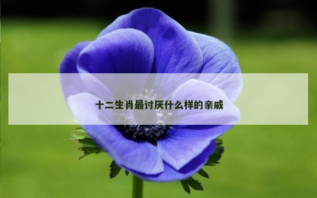 十二生肖最讨厌什么样的亲戚