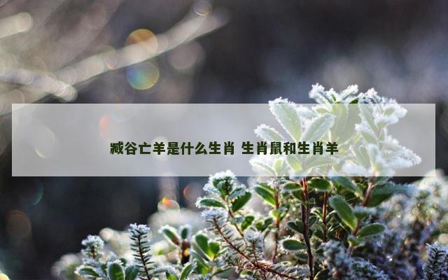 臧谷亡羊是什么生肖 生肖鼠和生肖羊