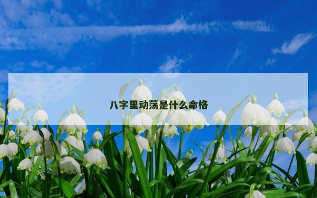 八字里动荡是什么命格