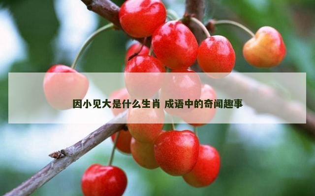 因小见大是什么生肖 成语中的奇闻趣事