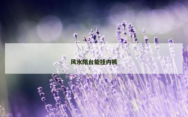 风水阳台能挂内裤