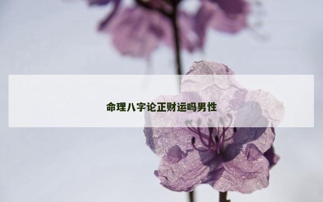 命理八字论正财运吗男性