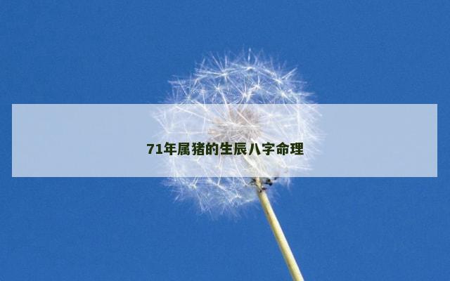 71年属猪的生辰八字命理