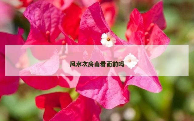 风水次房山看面前吗