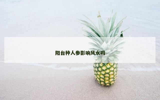 阳台种人参影响风水吗