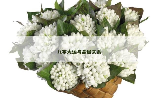 八字大运与命局关系