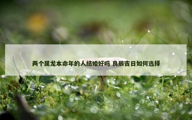 两个属龙本命年的人结婚好吗 良辰吉日如何选择
