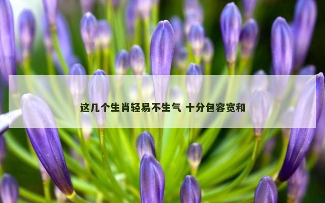 这几个生肖轻易不生气 十分包容宽和