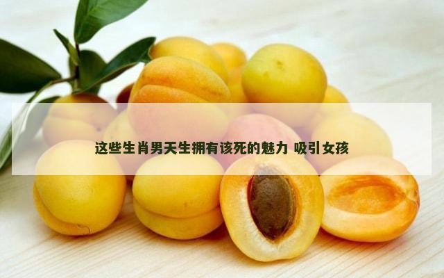 这些生肖男天生拥有该死的魅力 吸引女孩