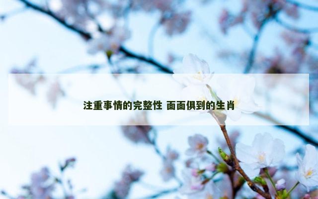 注重事情的完整性 面面俱到的生肖