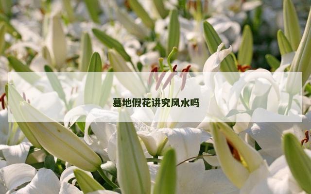 墓地假花讲究风水吗