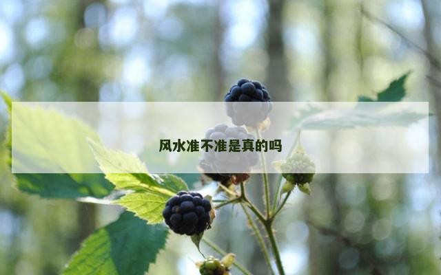 风水准不准是真的吗