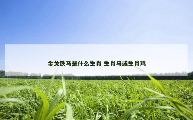 金戈铁马是什么生肖 生肖马或生肖鸡