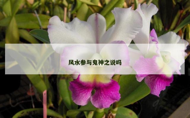 风水参与鬼神之说吗