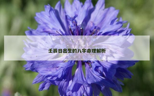 壬辰日出生的八字命理解析