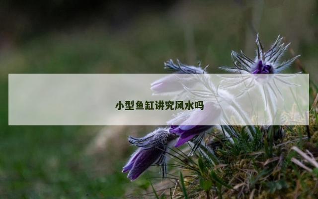 小型鱼缸讲究风水吗