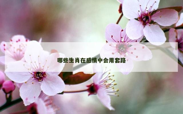 哪些生肖在感情中会用套路