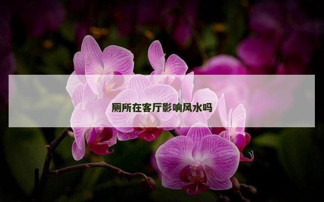 厕所在客厅影响风水吗