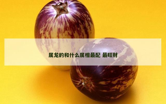 属龙的和什么属相最配 最旺财