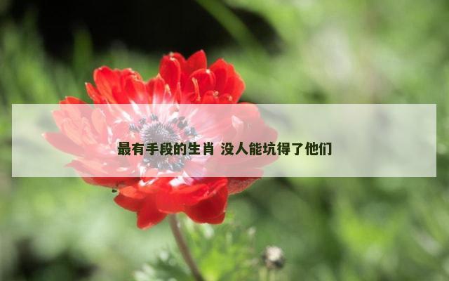 最有手段的生肖 没人能坑得了他们