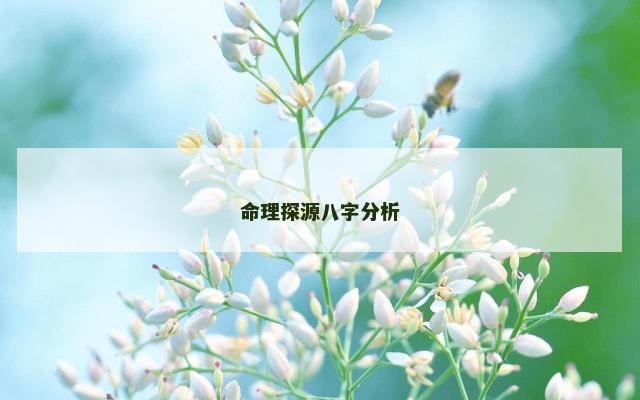 命理探源八字分析