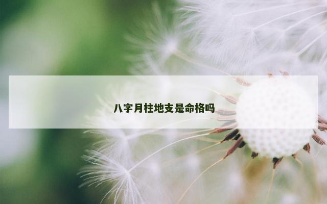 八字月柱地支是命格吗