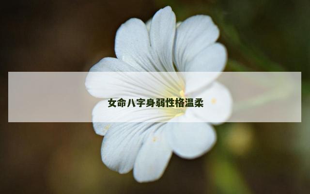 女命八字身弱性格温柔