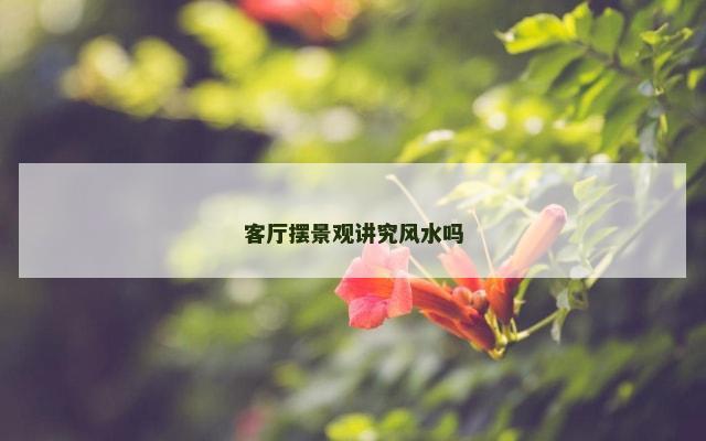 客厅摆景观讲究风水吗