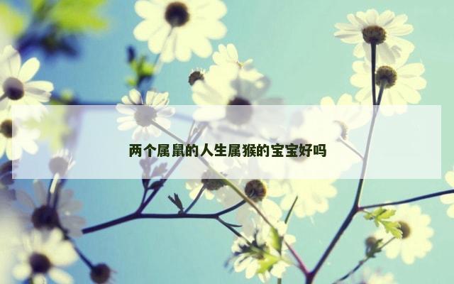 两个属鼠的人生属猴的宝宝好吗