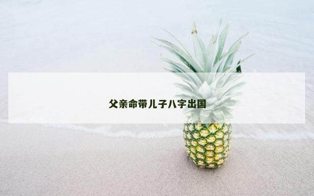 父亲命带儿子八字出国