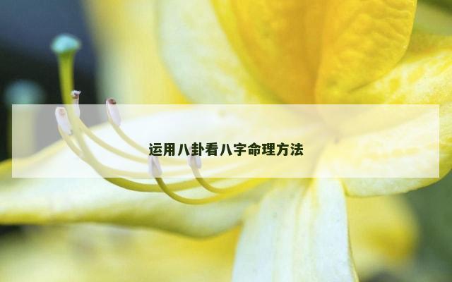 运用八卦看八字命理方法