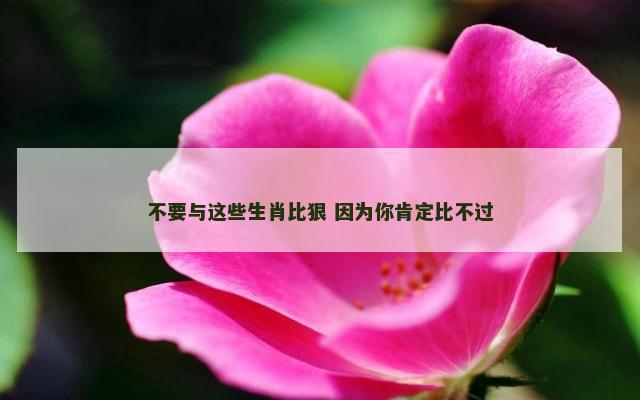 不要与这些生肖比狠 因为你肯定比不过