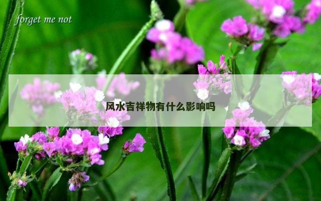 风水吉祥物有什么影响吗