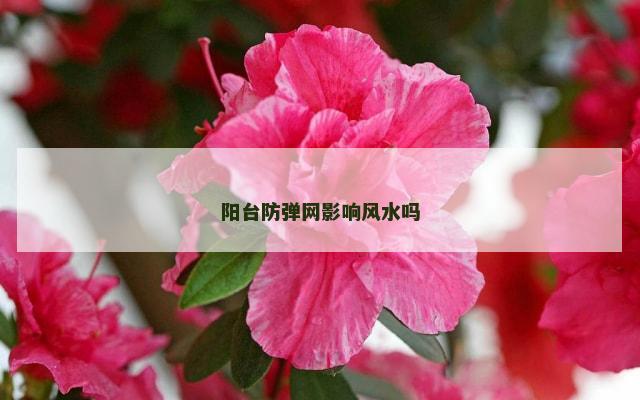 阳台防弹网影响风水吗