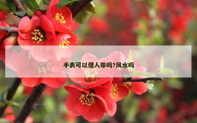 手表可以借人带吗?风水吗