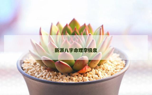 新派八字命理李极泉