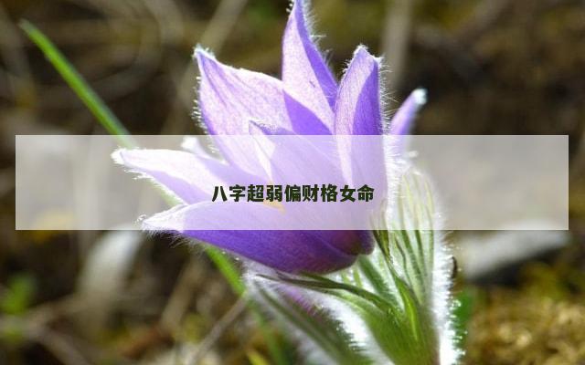 八字超弱偏财格女命
