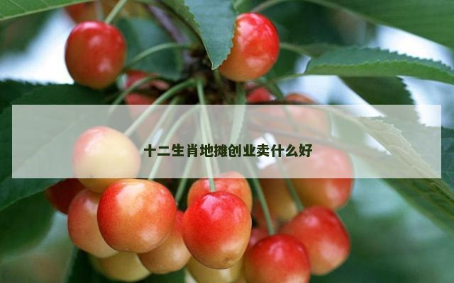 十二生肖地摊创业卖什么好