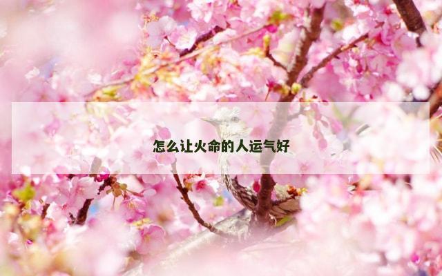 怎么让火命的人运气好