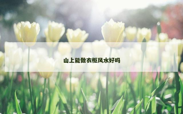 山上能做衣柜风水好吗