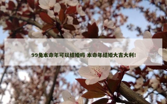 99兔本命年可以结婚吗 本命年结婚大吉大利！