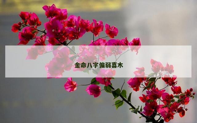 金命八字偏弱喜木