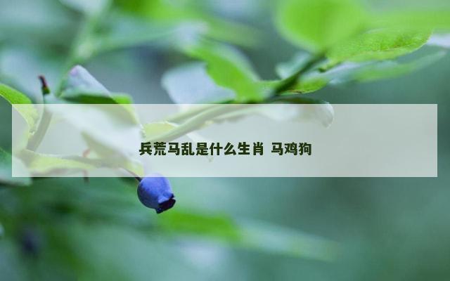 兵荒马乱是什么生肖 马鸡狗