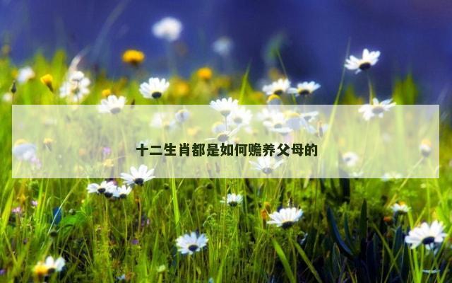 十二生肖都是如何赡养父母的