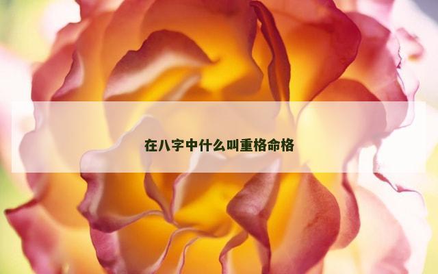 在八字中什么叫重格命格