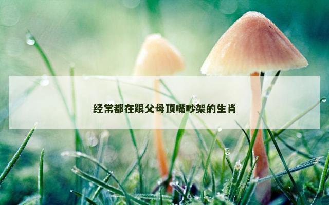 经常都在跟父母顶嘴吵架的生肖