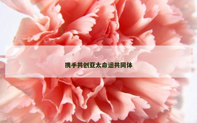 携手共创亚太命运共同体