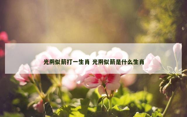 光阴似箭打一生肖 光阴似箭是什么生肖