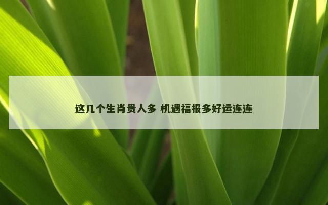 这几个生肖贵人多 机遇福报多好运连连