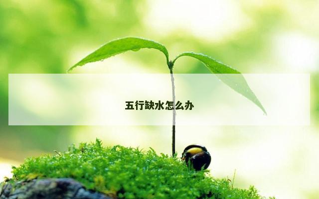 五行缺水怎么办